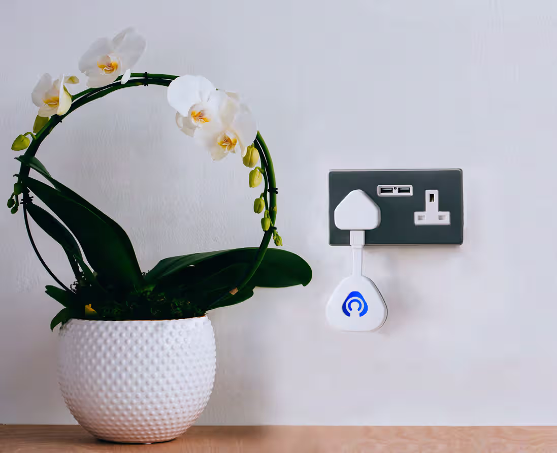 Smart home hub indicating overall lock status for connected entry points